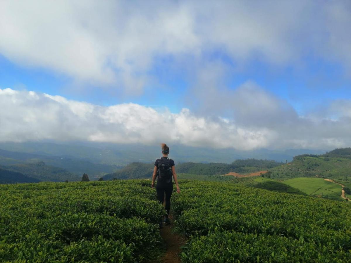 فندق نوفارا إيلِيافي  Unique View Nuwaraeliya المظهر الخارجي الصورة