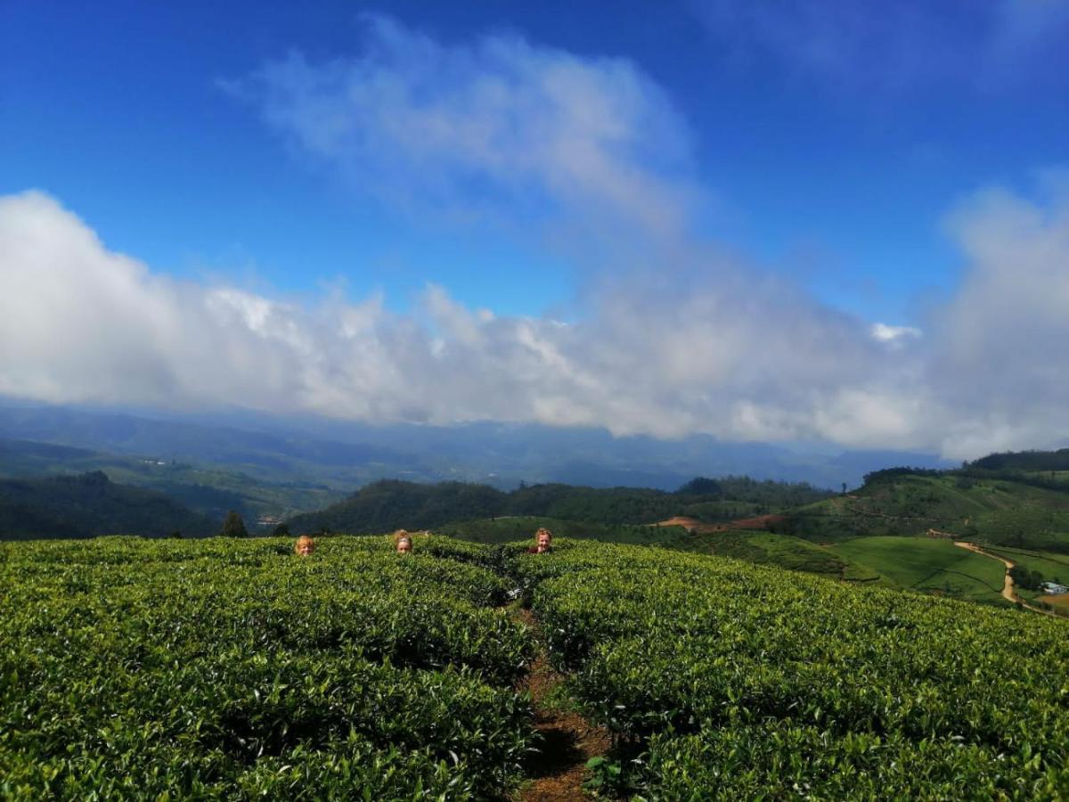 فندق نوفارا إيلِيافي  Unique View Nuwaraeliya المظهر الخارجي الصورة