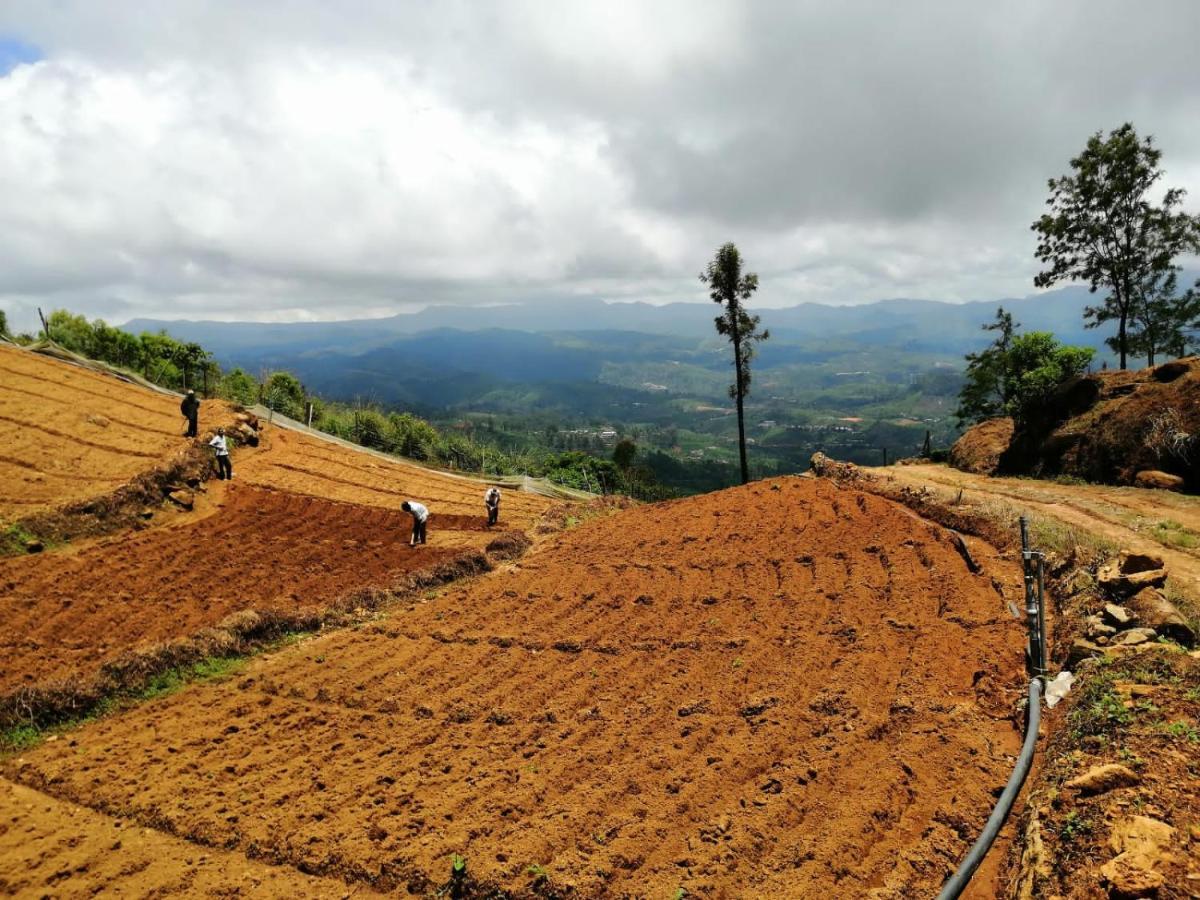 فندق نوفارا إيلِيافي  Unique View Nuwaraeliya المظهر الخارجي الصورة