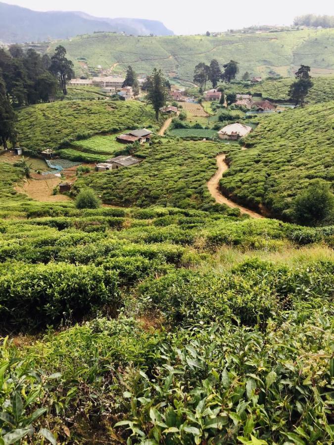 فندق نوفارا إيلِيافي  Unique View Nuwaraeliya المظهر الخارجي الصورة
